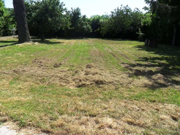 casa indipendente in vendita a Sarzana