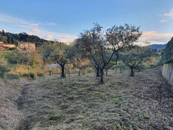 casa indipendente in vendita a Sarzana in zona Falcinello