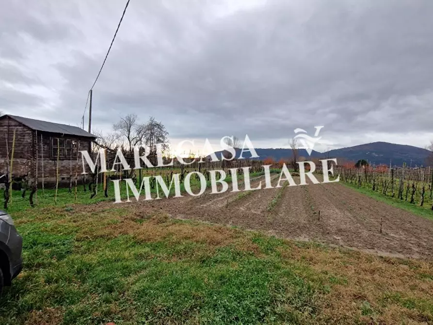 terreno agricolo in vendita a Sarzana
