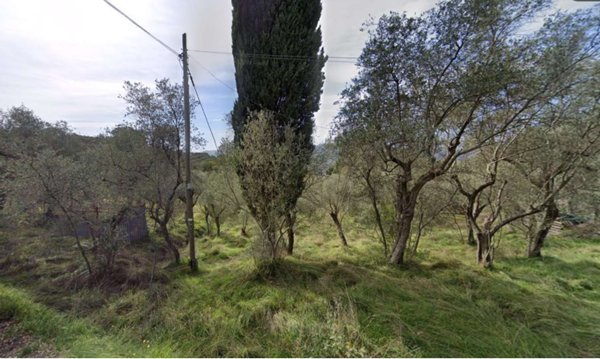 terreno agricolo in vendita a Sarzana