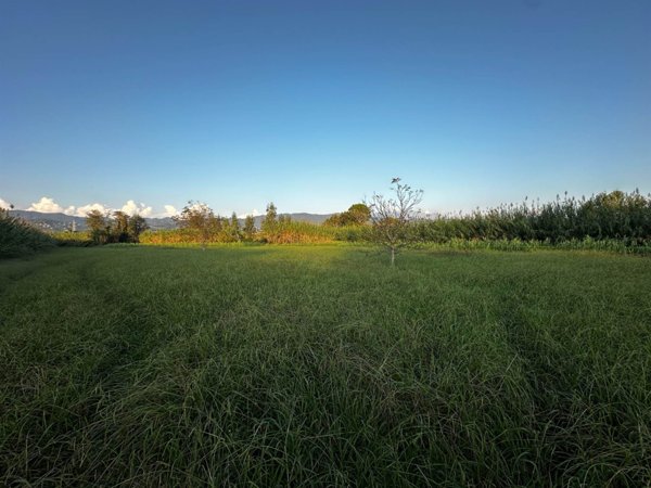terreno agricolo in vendita a Sarzana