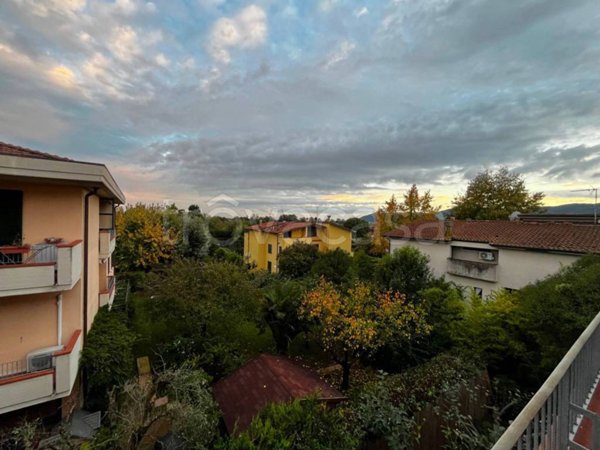 appartamento in vendita a Sarzana