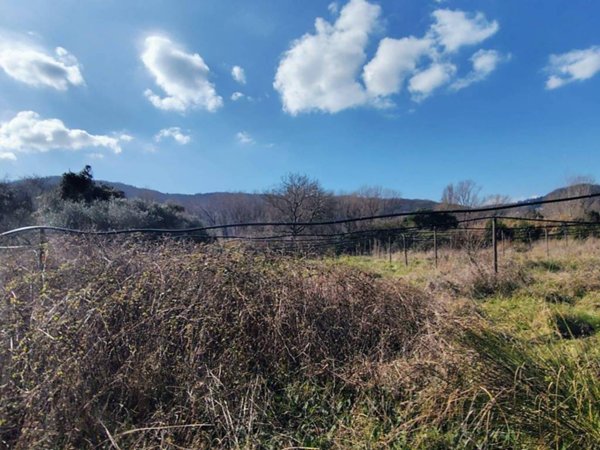terreno agricolo in vendita a Sarzana