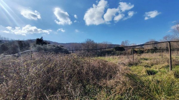 terreno agricolo in vendita a Sarzana