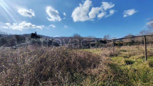terreno agricolo in vendita a Sarzana