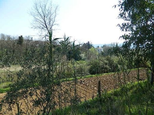 casa indipendente in vendita a Sarzana