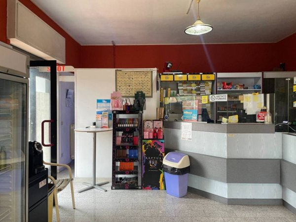 negozio in vendita a Sarzana in zona Falcinello