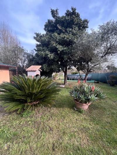 casa indipendente in vendita a Sarzana in zona San Lazzaro