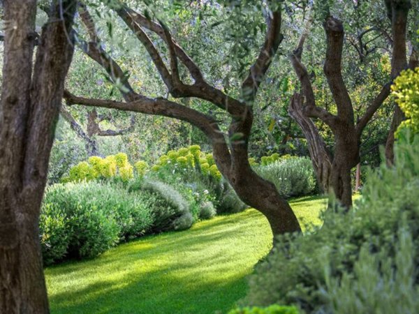casa indipendente in vendita a Sarzana in zona Falcinello