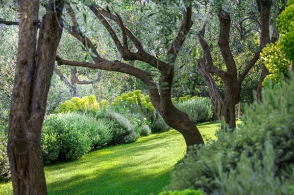 casa indipendente in vendita a Sarzana