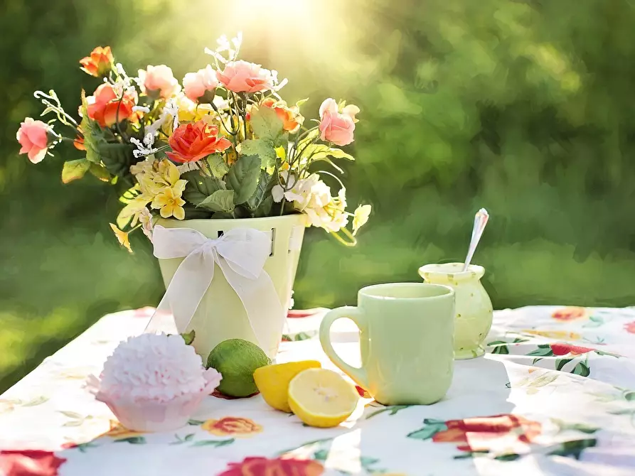 casa indipendente in vendita a Sarzana