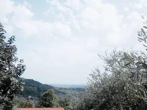 casa indipendente in vendita a Sarzana in zona Falcinello