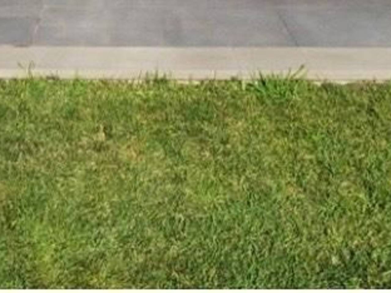 appartamento in vendita a Sarzana