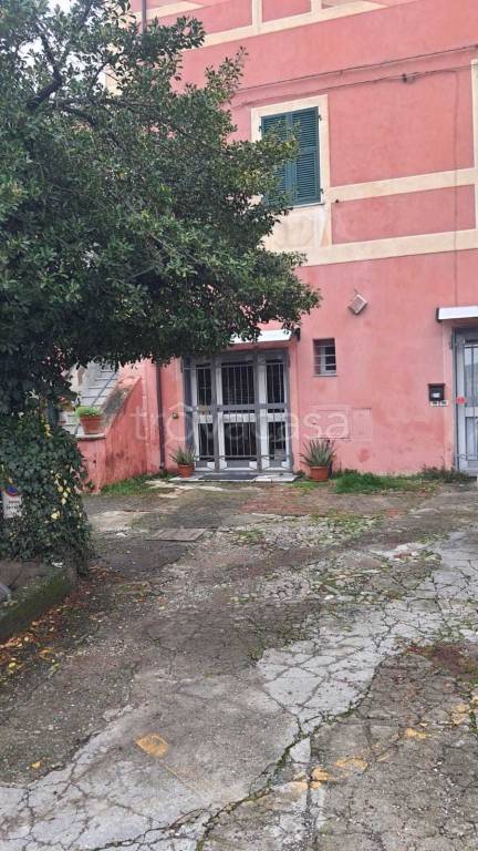 appartamento in vendita a Sarzana