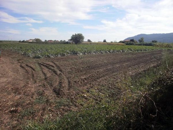 terreno edificabile in vendita a Sarzana