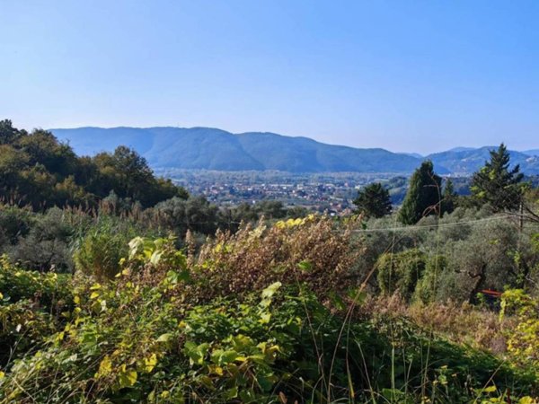 terreno agricolo in vendita a Sarzana in zona San Lazzaro
