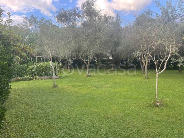 casa indipendente in vendita a Sarzana