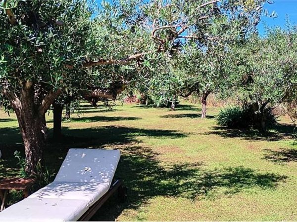 terreno agricolo in vendita a Sarzana