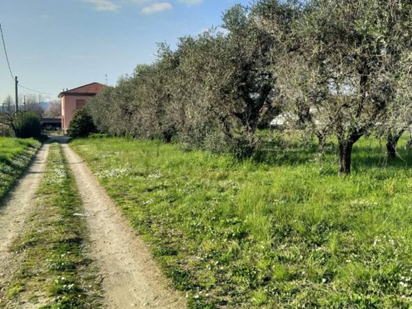 casa indipendente in vendita a Sarzana in zona San Lazzaro