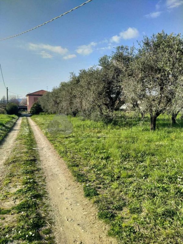 casa indipendente in vendita a Sarzana