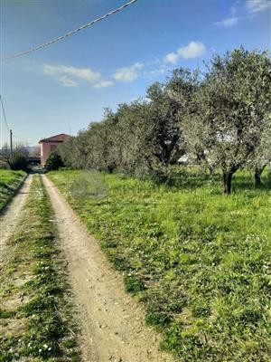 casa indipendente in vendita a Sarzana in zona Marinella di Sarzana