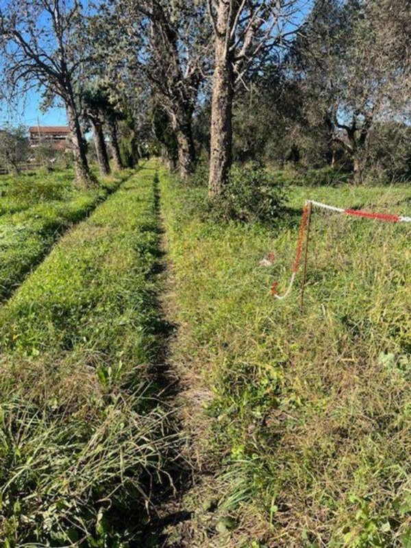 casa indipendente in vendita a Sarzana in zona San Lazzaro