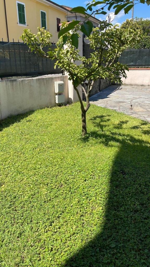 esavano in vendita a Sarzana