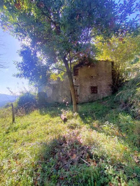 appartamento in vendita a Sarzana in zona Falcinello