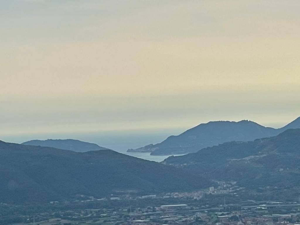 terreno agricolo in vendita a Sarzana in zona Falcinello