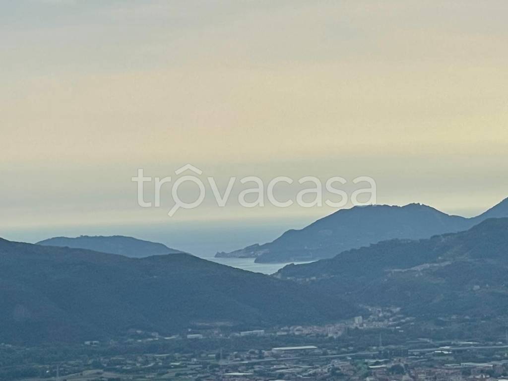 terreno agricolo in vendita a Sarzana