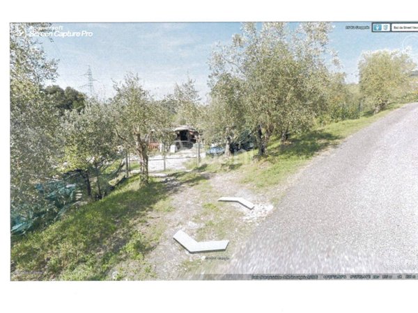 terreno agricolo in vendita a Sarzana in zona San Lazzaro