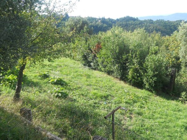 appartamento in vendita a Sarzana in zona Marinella di Sarzana