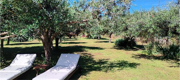 terreno agricolo in vendita a Sarzana