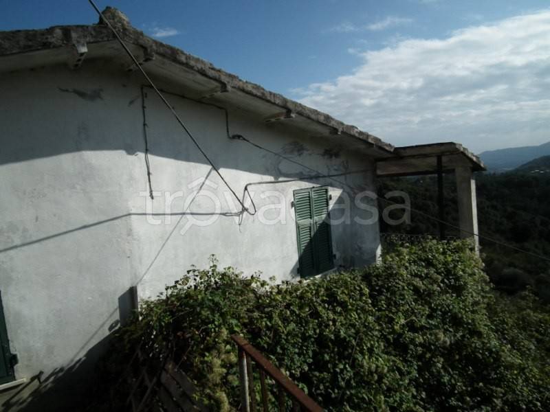 casa indipendente in vendita a Sarzana in zona Falcinello