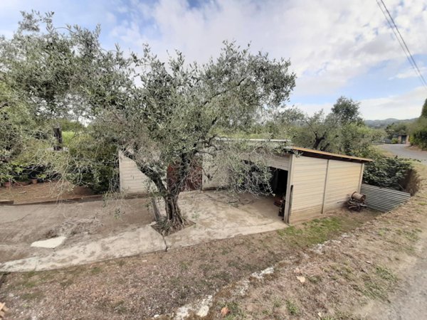 box auto in vendita a Sarzana