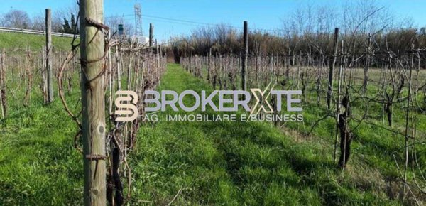 terreno agricolo in vendita a Sarzana