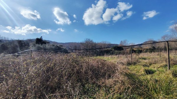 terreno agricolo in vendita a Sarzana in zona San Lazzaro