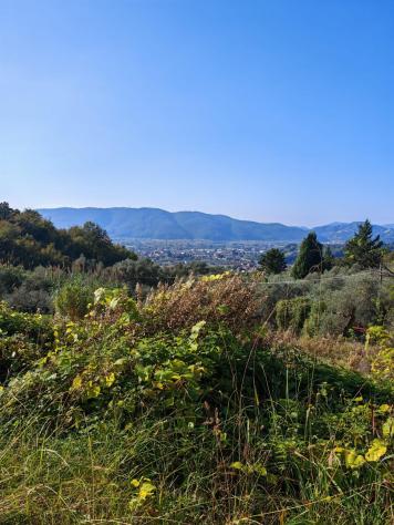 terreno agricolo in vendita a Sarzana