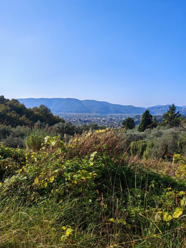 terreno agricolo in vendita a Sarzana in zona Marinella di Sarzana