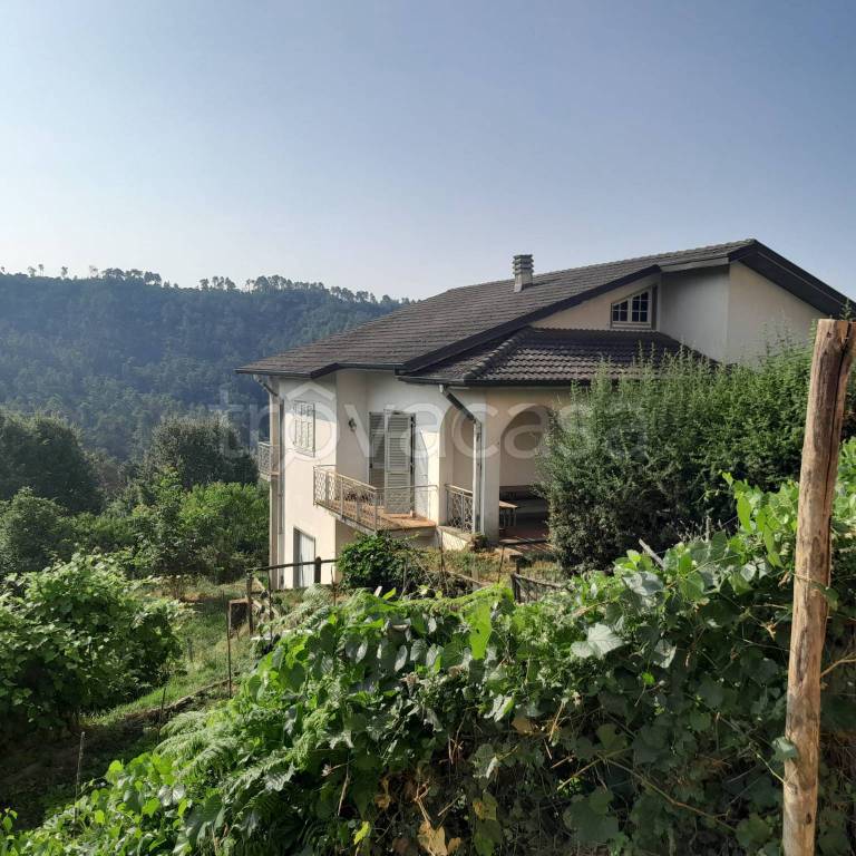 casa indipendente in vendita a Sesta Godano in zona Bergassana