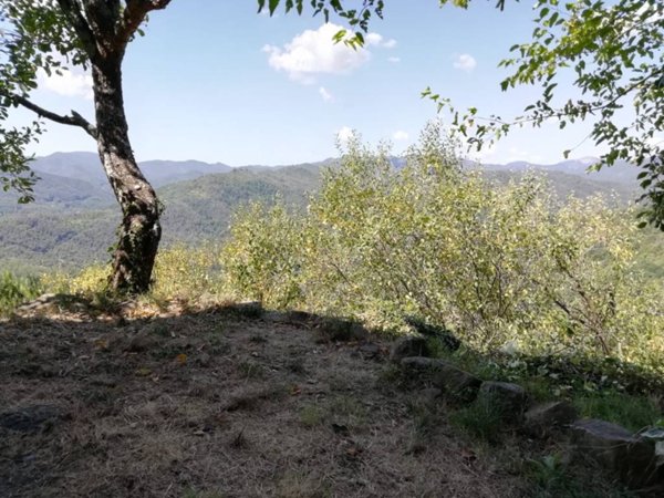 casa indipendente in vendita a Sesta Godano in zona Cornice