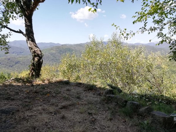 casa indipendente in vendita a Sesta Godano in zona Cornice