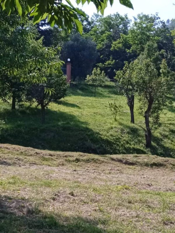 casa indipendente in vendita a Sesta Godano in zona Godano