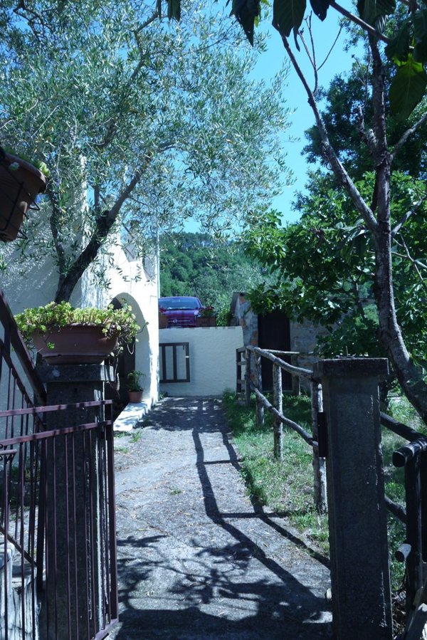 pentavano in vendita a Sesta Godano