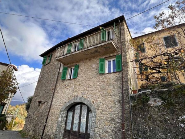 esavano in vendita a Sesta Godano in zona Cornice