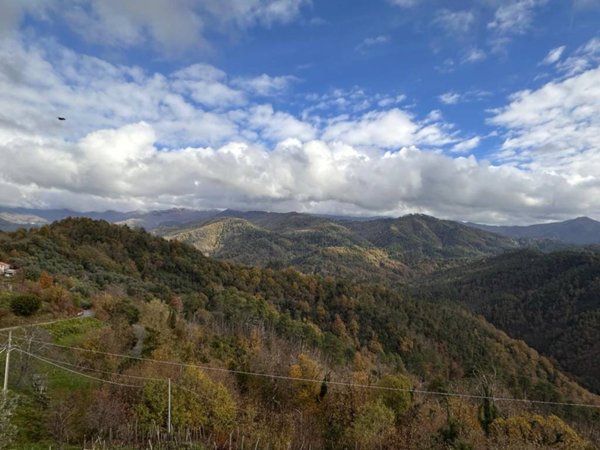esavano in vendita a Sesta Godano in zona Cornice