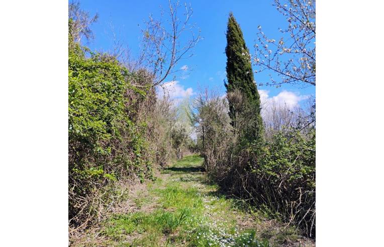 casa indipendente in vendita a Varese Ligure