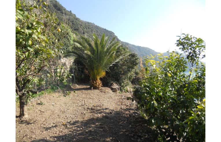 casa indipendente in vendita a Vernazza in zona Corniglia