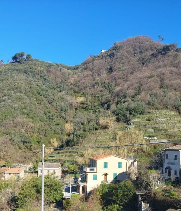 appartamento in vendita a Vernazza
