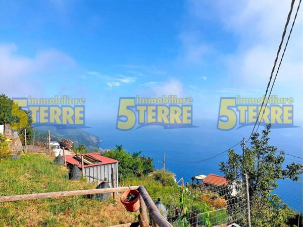 casa indipendente in vendita a Vernazza